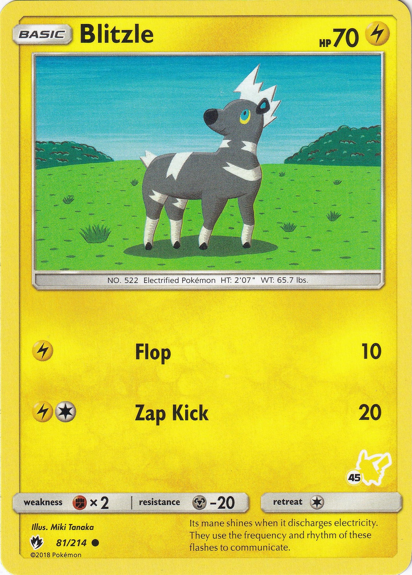 Blitzle - 81/214 (#45 Pikachu Stamped)