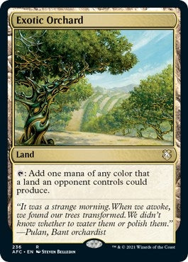 Exotic Orchard (236) (AFC)